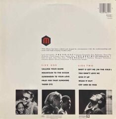 Marilyn Despite Straitht Lines LP Plak
