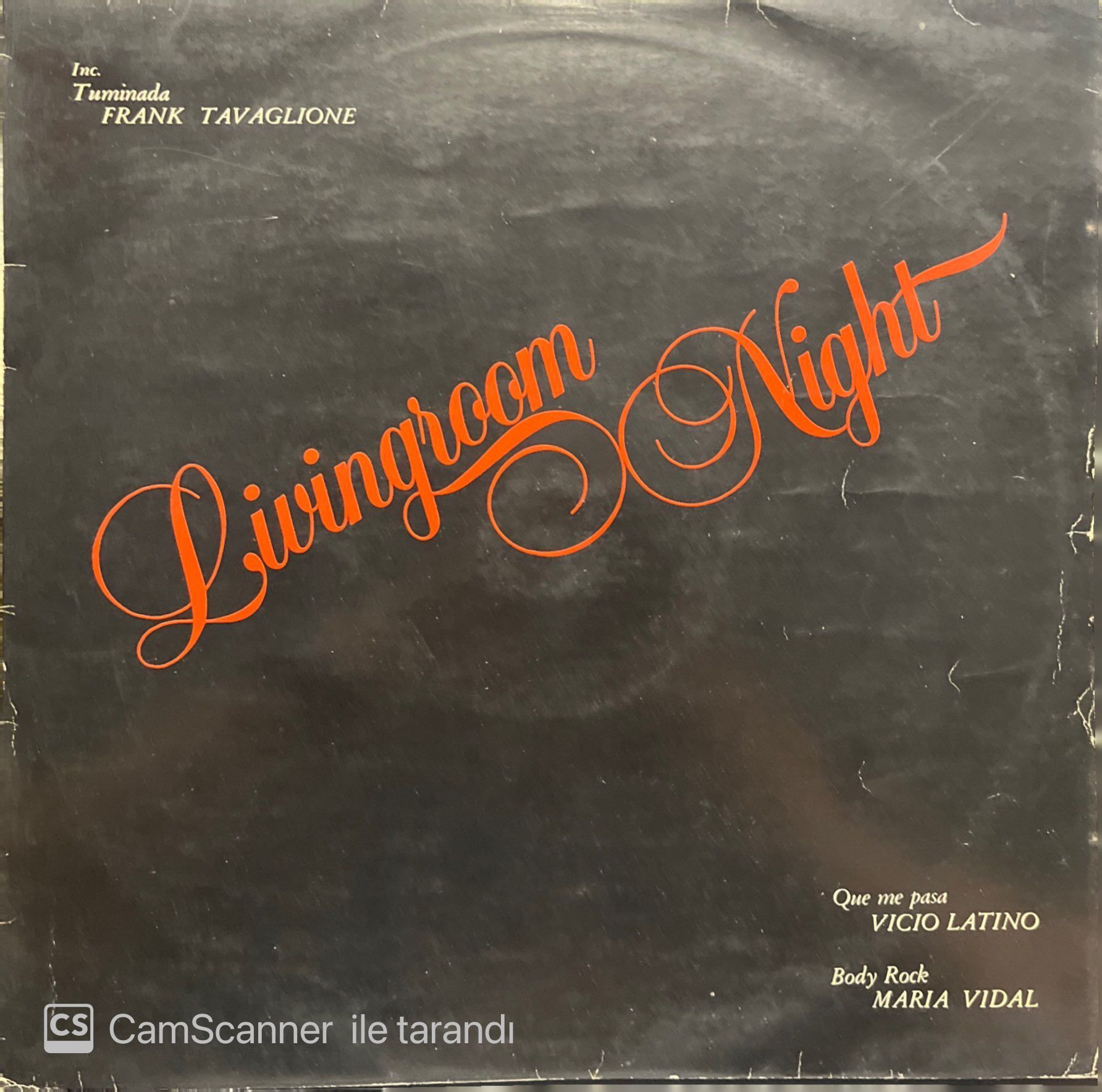 Tuminada Frank Tavaglion Livingroom Night LP Plak
