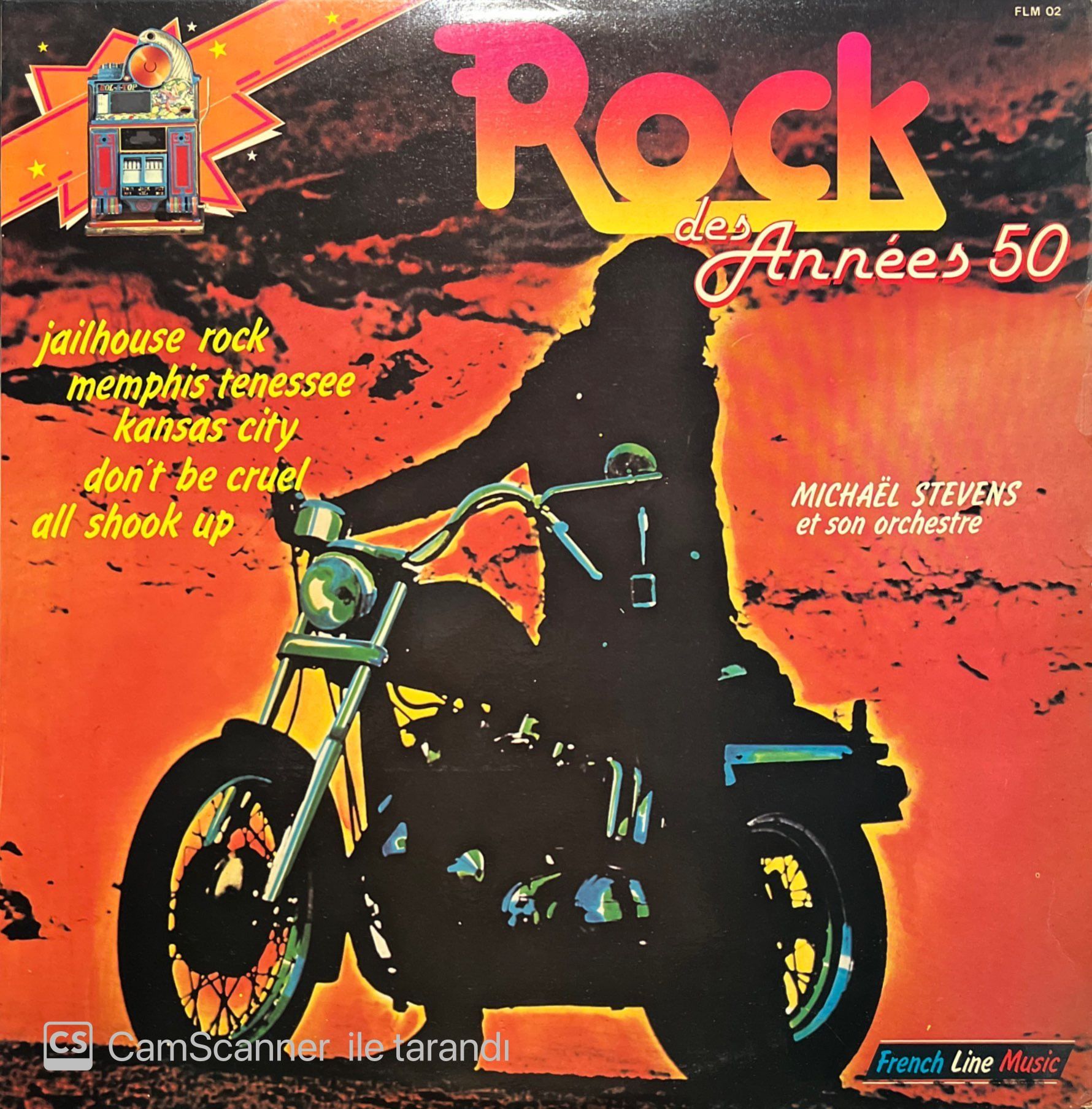 Rock Des Annees 50 Double LP Plak