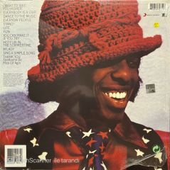 Sly & The Family Stone Greatest Hits LP Plak