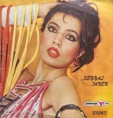 Seyyal Taner Sorma Neydi O 45lik plak