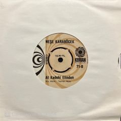 Neşe Karaböcek At Kadehi Elinden 45lik Plak
