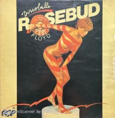 A Tribute To Pink Floyd Rosebud LP Plak
