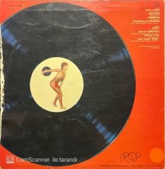 A Tribute To Pink Floyd Rosebud LP Plak