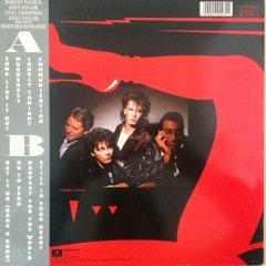 The Power Station Some Like İt Hot  LP Plak