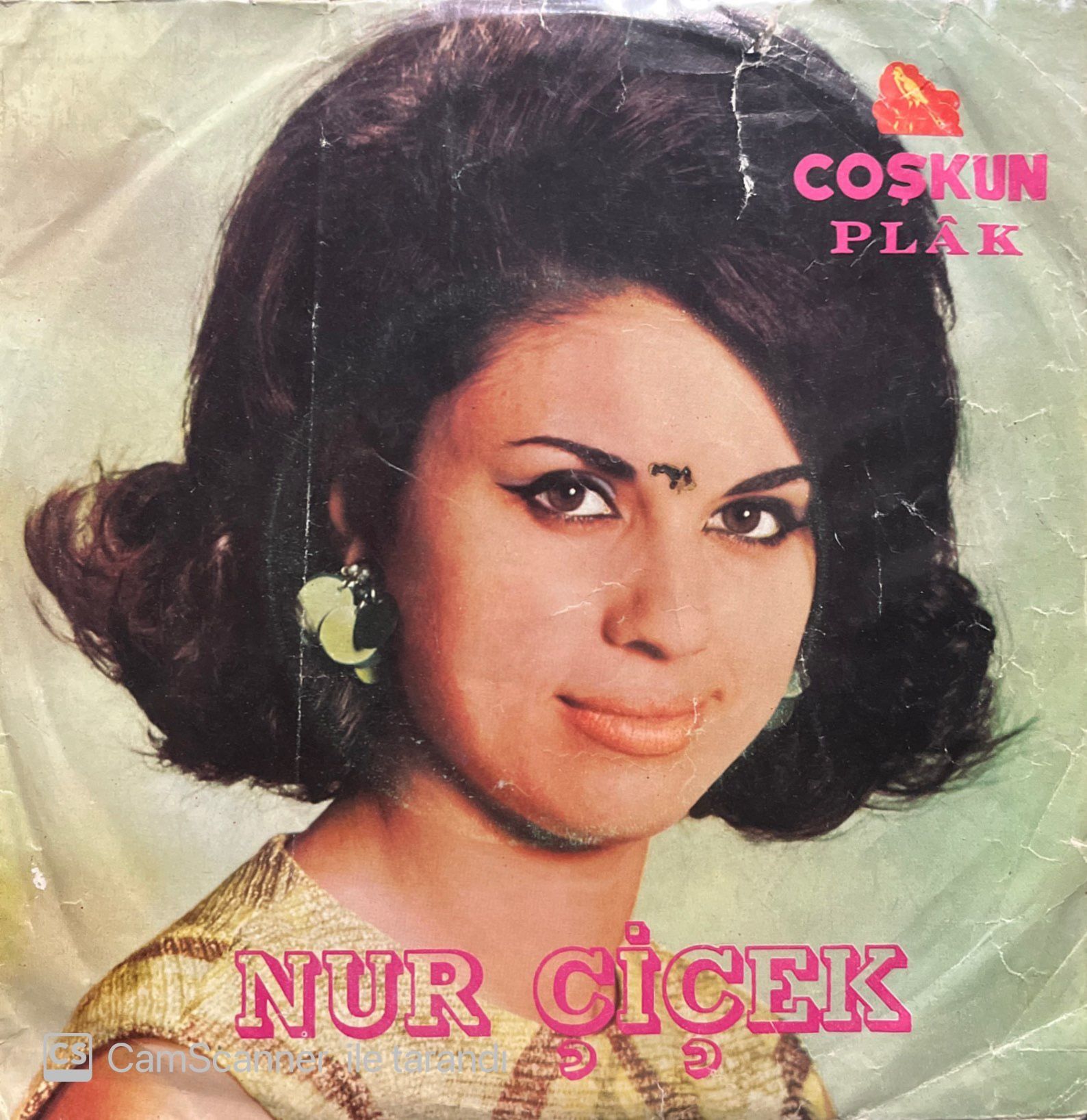Nur Çiçek Meyhanenin Gülü 45lik Plak