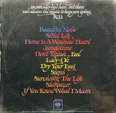 Neil Diamond Bautiful Noise LP Plak