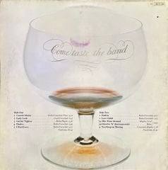 Deep Purple Come Taste The Band LP Plak