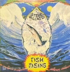 Steve Hillage Fish Rising LP Plak