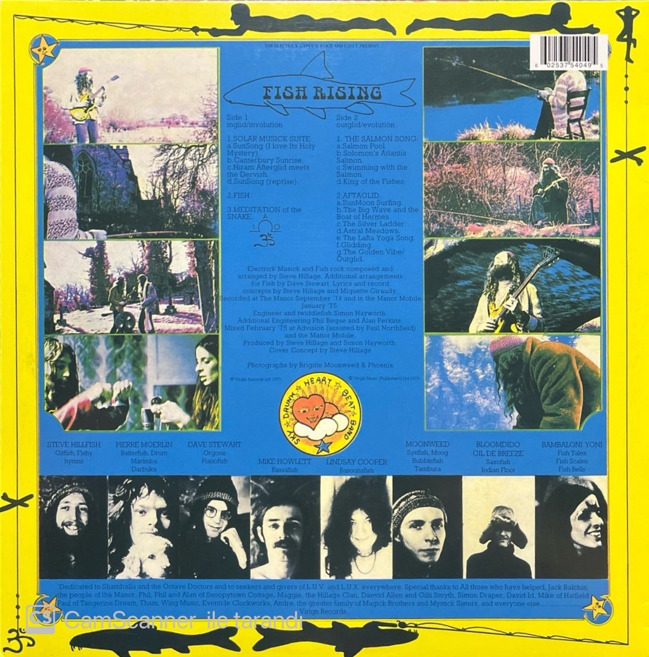 Steve Hillage Fish Rising LP Plak - 900,00 TL - Plak İstasyonu