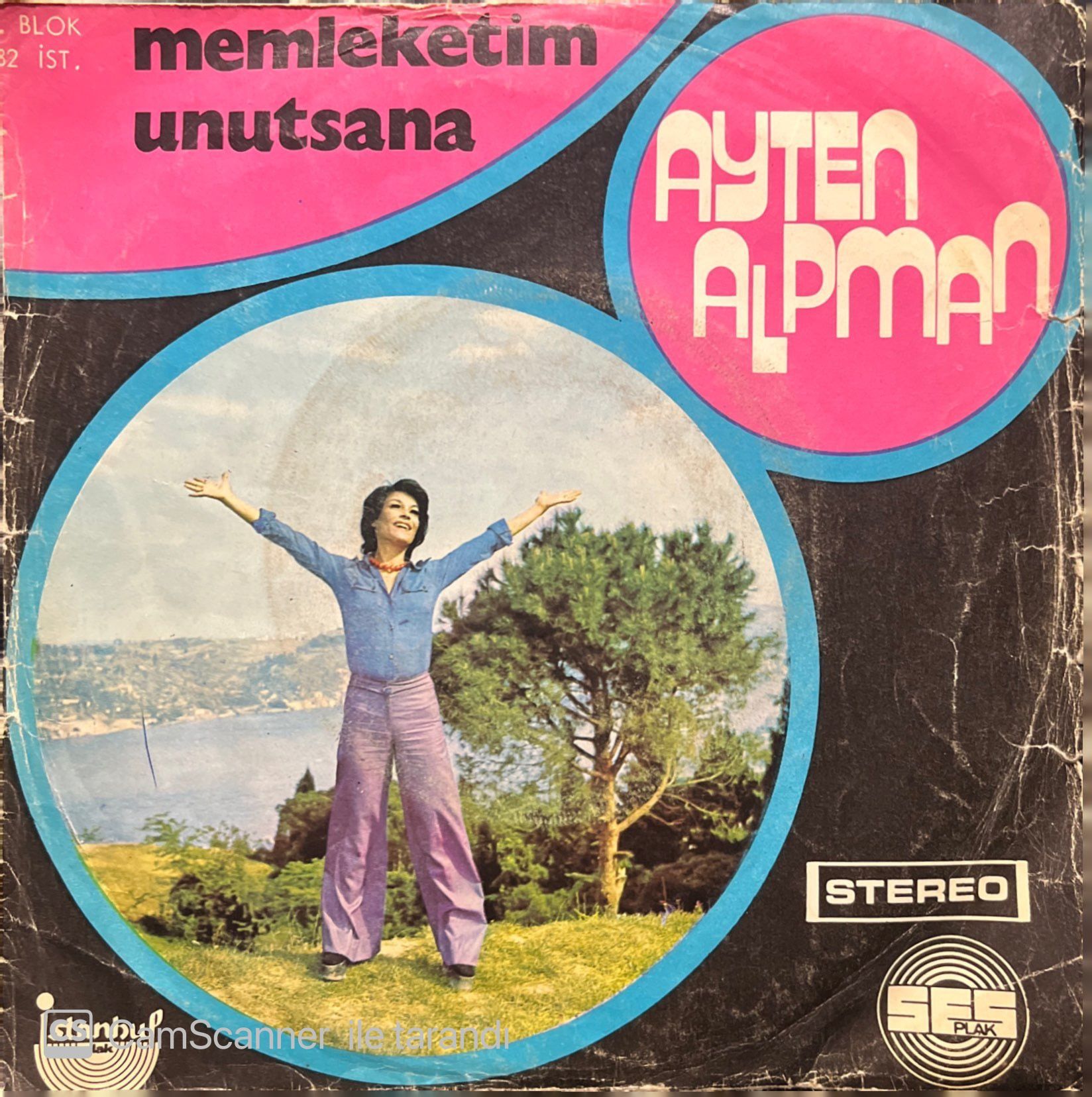 Ayten Alpman Bir Başkadır Benim Memleketim 45lik plak