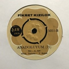 Fikret Kızılok Anadoluyum 45lik Plak