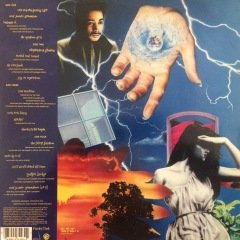Prince Graffiti Bridge LP Plak