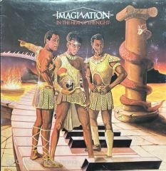 Imagination In The Heat Of The Night LP Plak