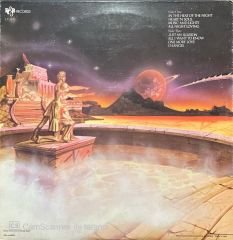 Imagination In The Heat Of The Night LP Plak