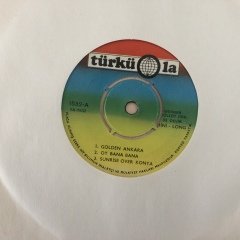 Werner Müller Ork. Golden Ankara 45lik Plak