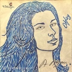 Ayla Algan Koca Öküz 45lik plak