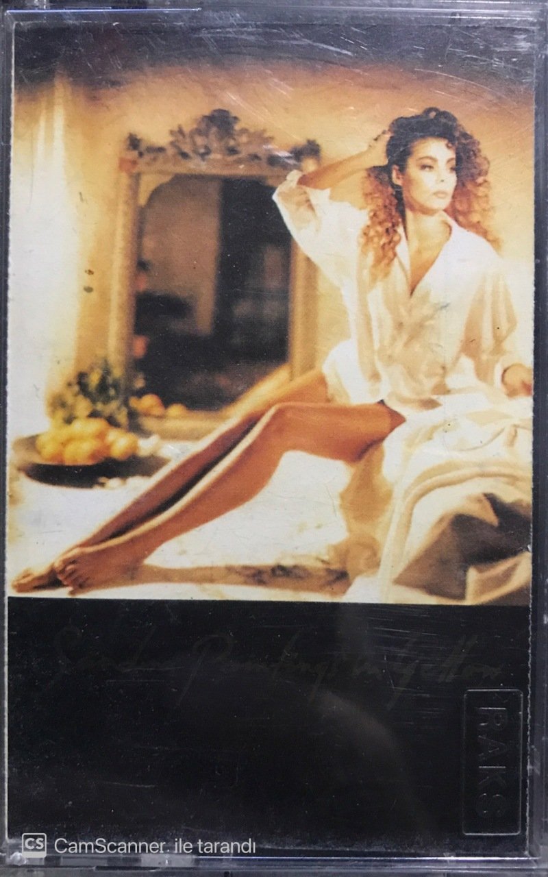 Sandra Paintings in Yellow  KASET