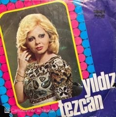 Yıldız Tezcan Dumanlı Dumanlı Oy Bizim Eller 45lik plak