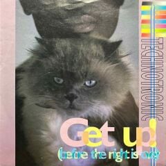 Technotronic Get Up 45lik Plak