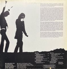 Caravan In The Land Of Grey And Pink LP Plak