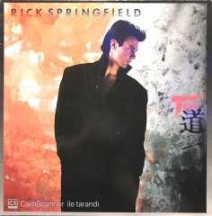 Rick Springfield Tao LP Plak