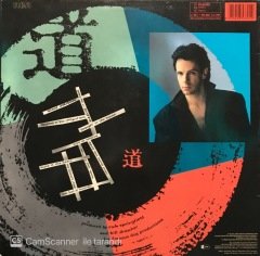 Rick Springfield Tao LP Plak