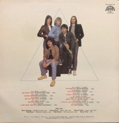 Status Quo 1982 LP Plak