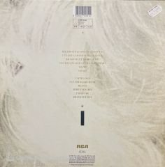 Eurythmics Savage LP Plak