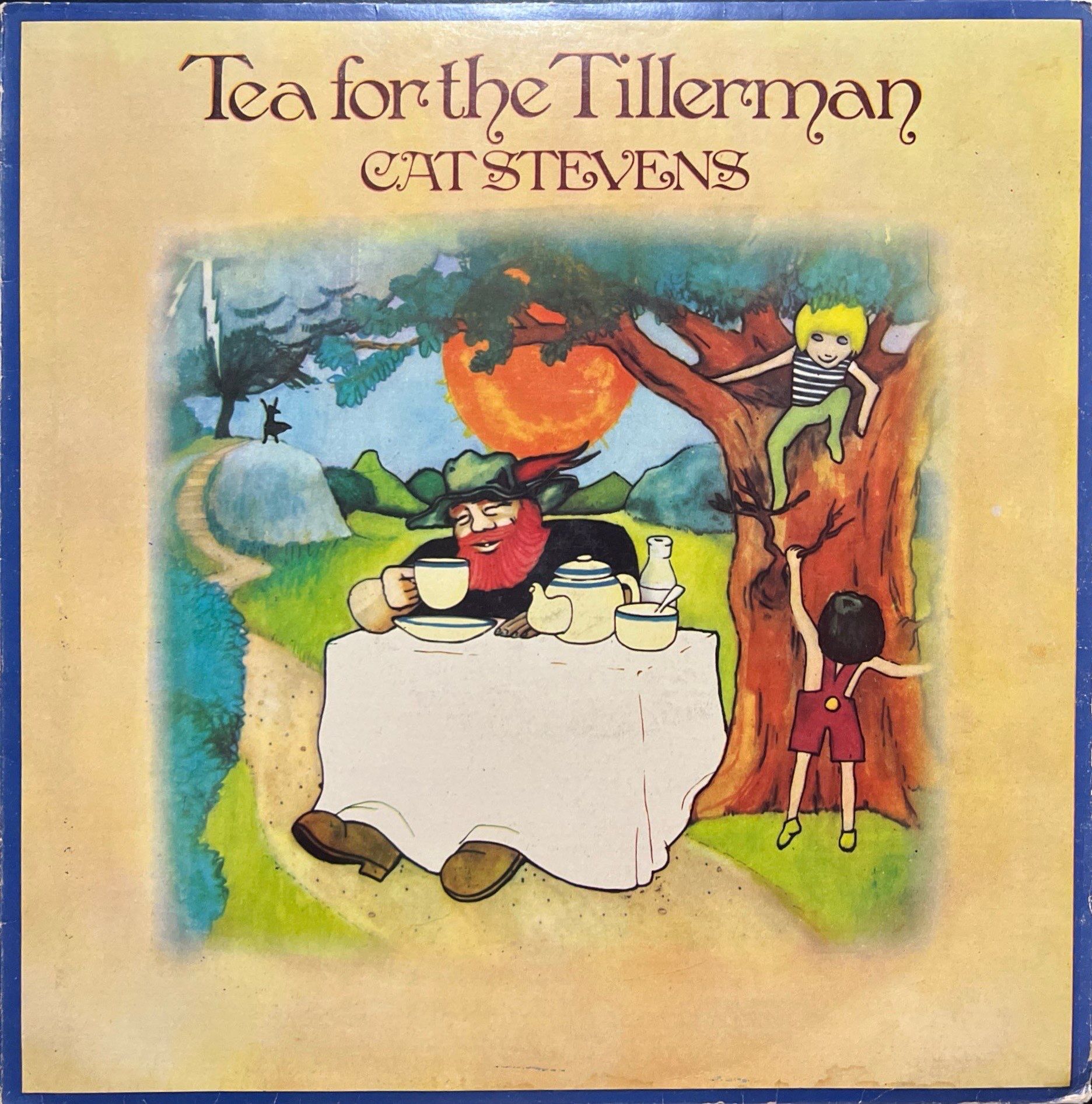 Cat Stevens Tea For The Tillerman LP Plak