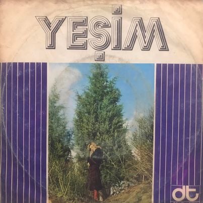 Yeşim Aklın Neredeydi 45lik plak