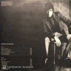 Andy Kim's Greatest Hits LP Plak