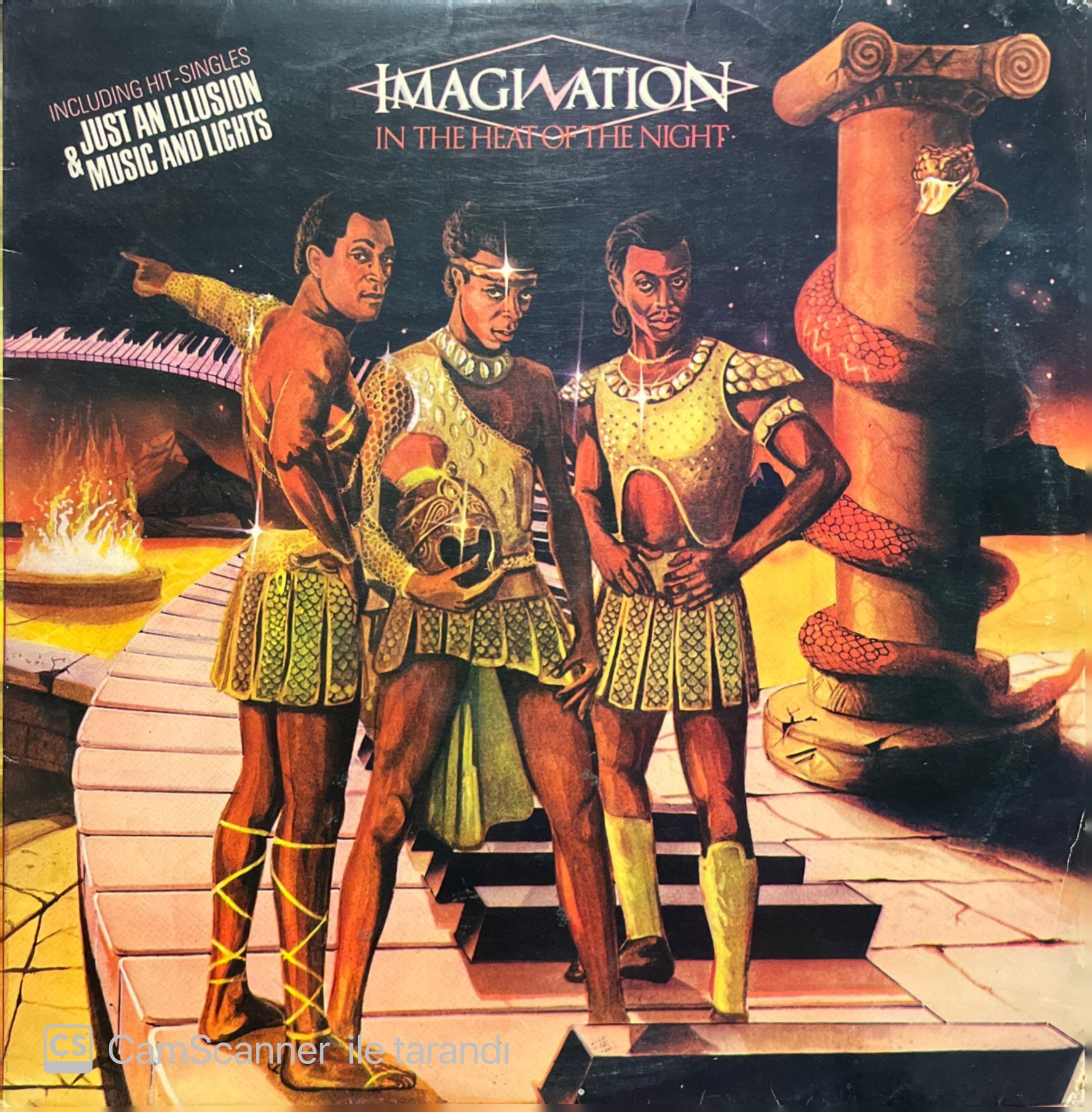 Imagination In The Heat Of The Night LP Plak