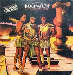 Imagination In The Heat Of The Night LP Plak