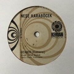 Neşe Karaböcek Geiger Depo Malı 45lik Plak