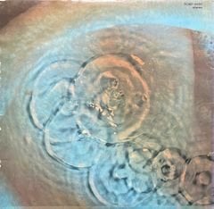 Pink Floyd Meddle LP Plak