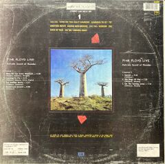 Pink Floyd Delicate Sound Of Thunder LP Plak