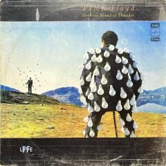 Pink Floyd Delicate Sound Of Thunder LP Plak