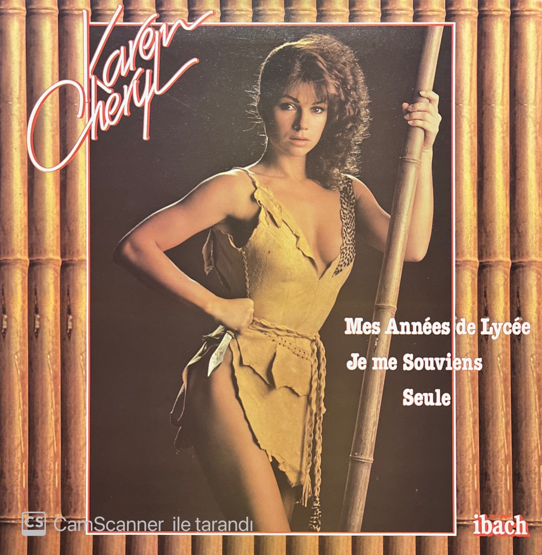 Karen Cherly Mes Annees De Lycee LP Plak