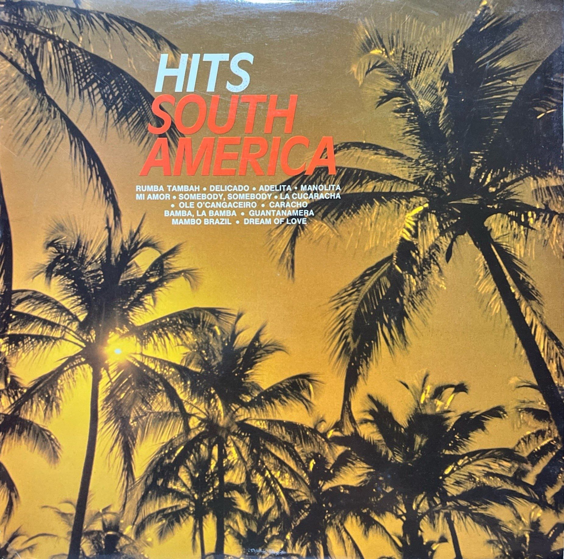 Hits South America LP Plak