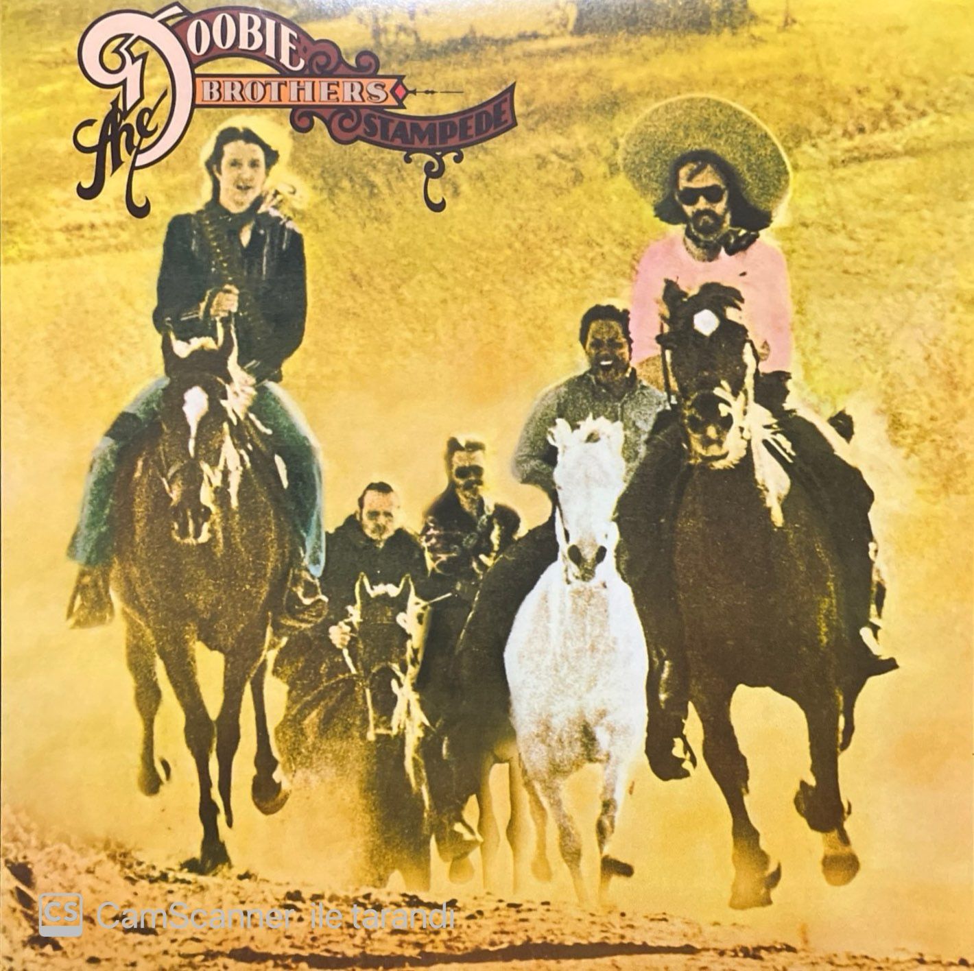 The Doobie Brothers Stampede LP Plak