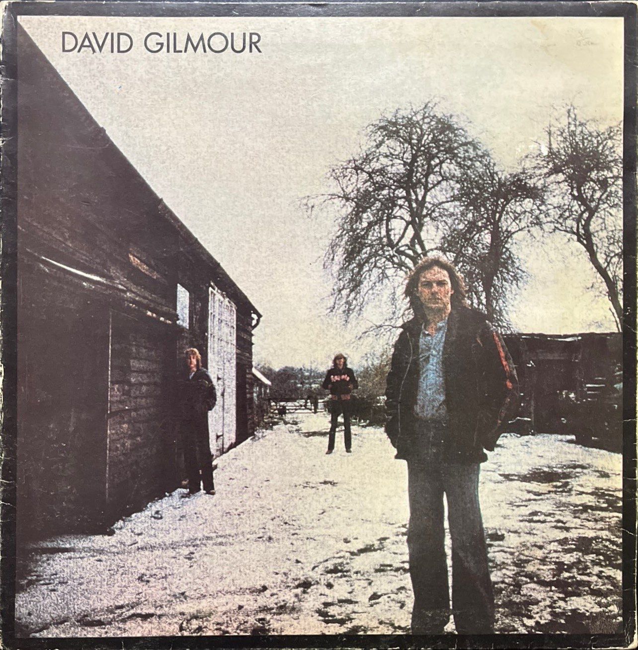 David Gilmour David Gilmour LP Plak
