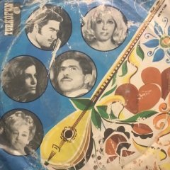 Gönül Yazar Arım Balım Peteğim Alman Baskı 45lik Plak