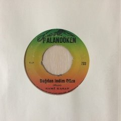 Sami Kasap Dağdan İndim Düze 45lik Plak