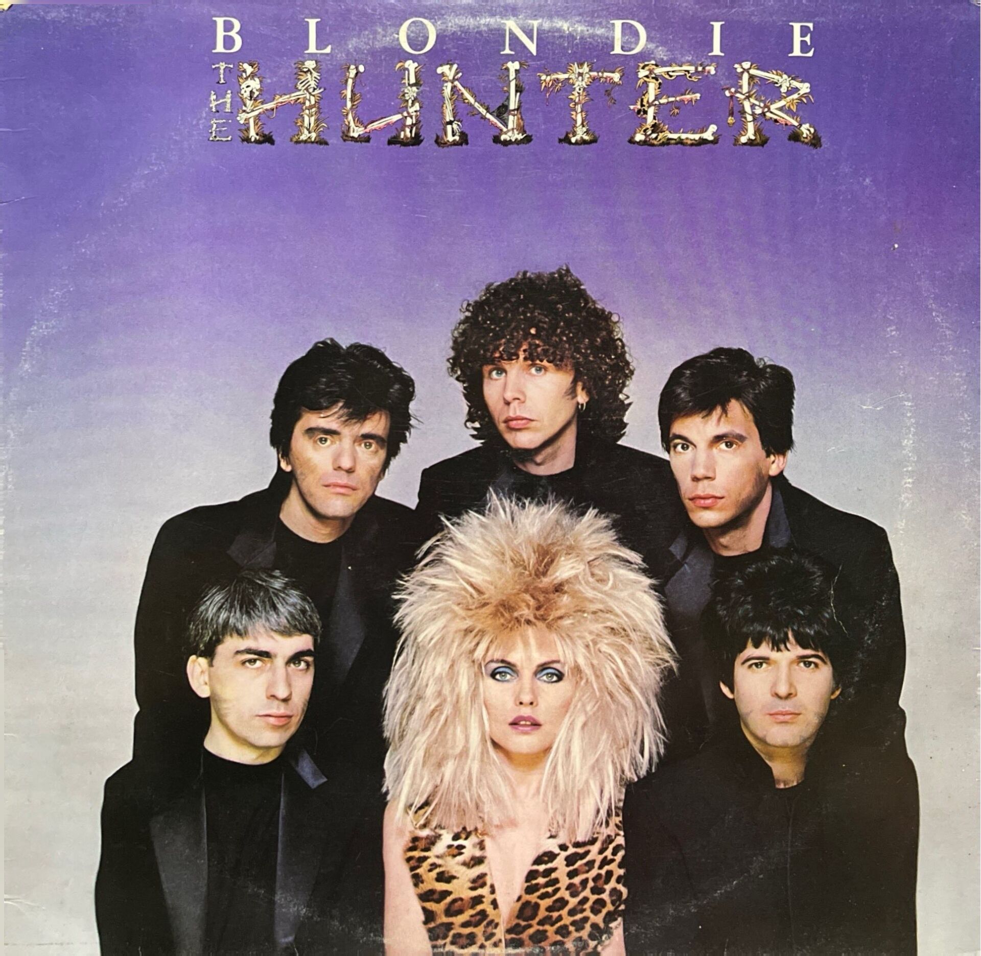 Blondie The Hunter LP Plak