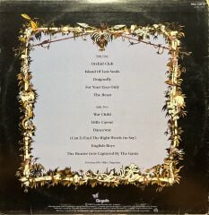 Blondie The Hunter LP Plak