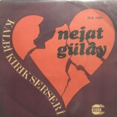 Nejat Gülay Kalbi Kırık Serseri 45lik Plak