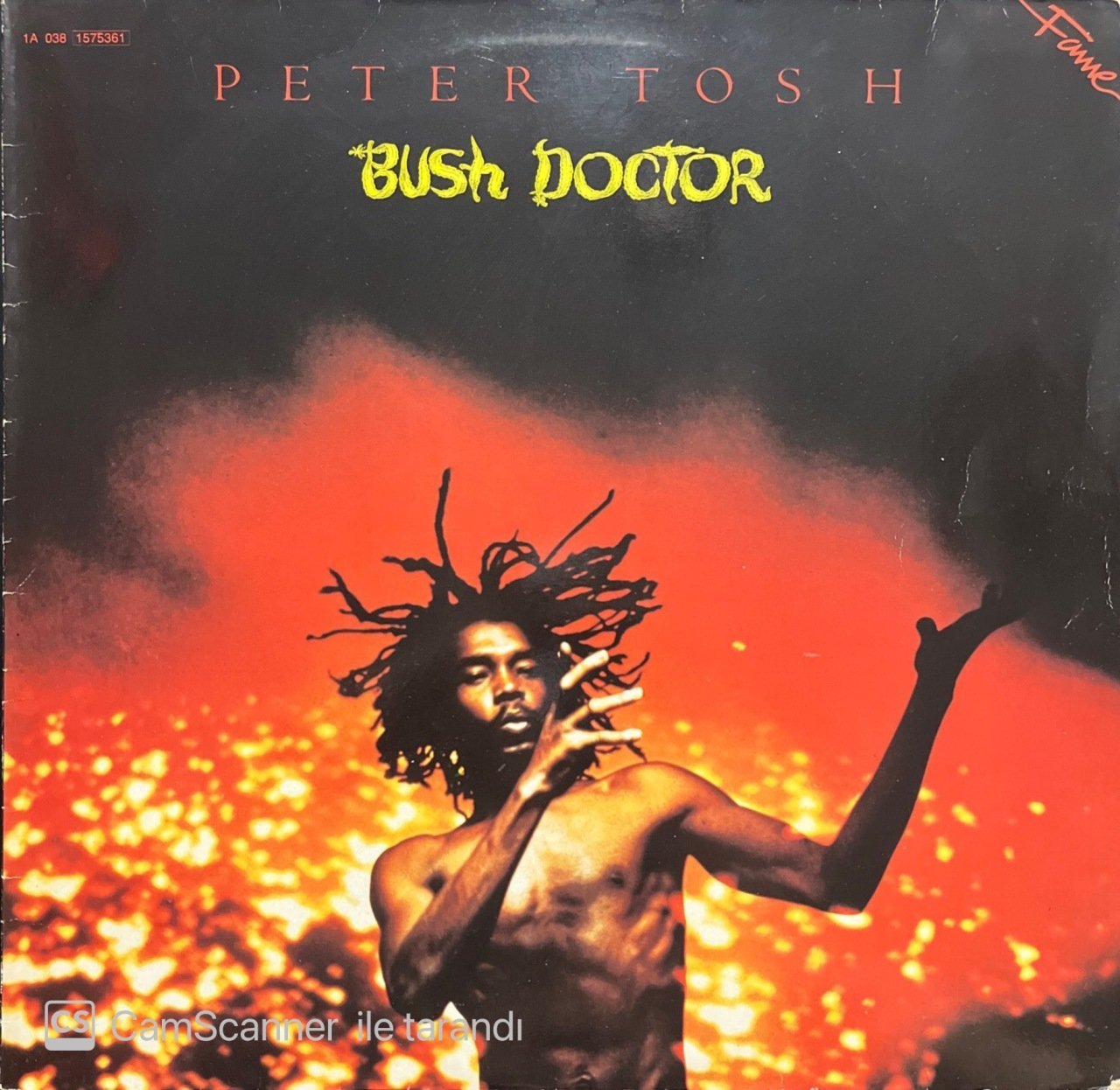 Peter Tosh Bush Doctor LP Plak