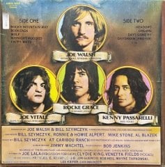 Joe Walsh The Smoker You Drink The Player You Get LP Plak