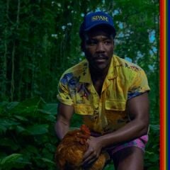 Childish Gambino Bando Stone And The New World Double Lp Plak